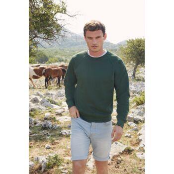 Classic Raglan Sweat Thumbnail